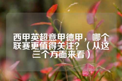 辅以团队协 辅以团队协